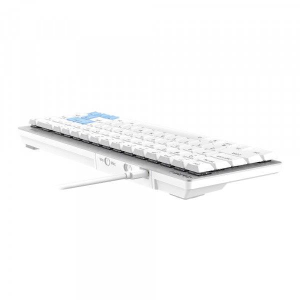 Dareu EK868 White-Blue, Brown Switch